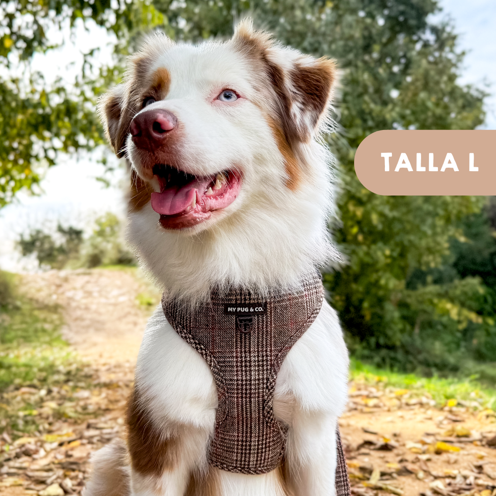 Arnés Ajustable Tartán