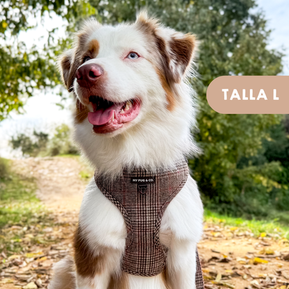 Arnés Ajustable Tartán