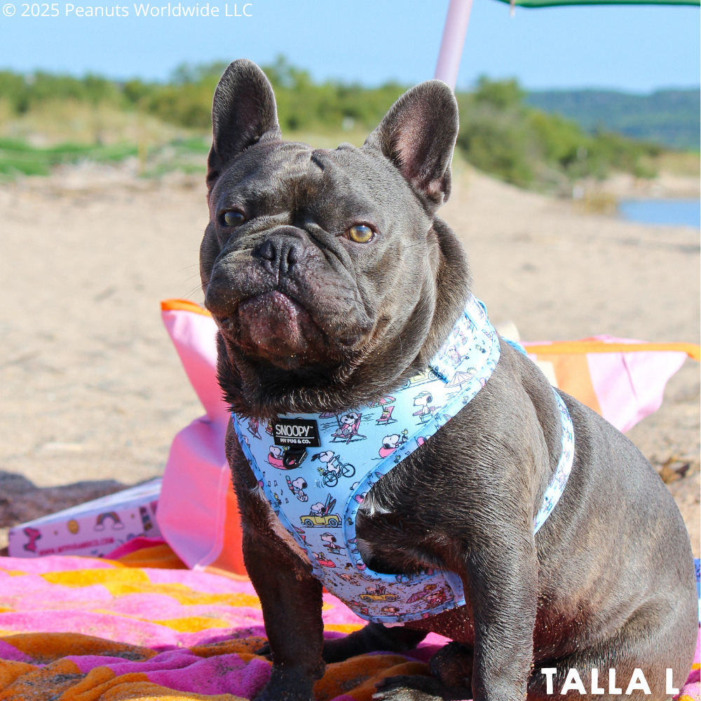 Arnés Ajustable Snoopy™️ Beach