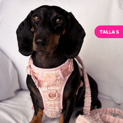  Pink Chic Trail Harness