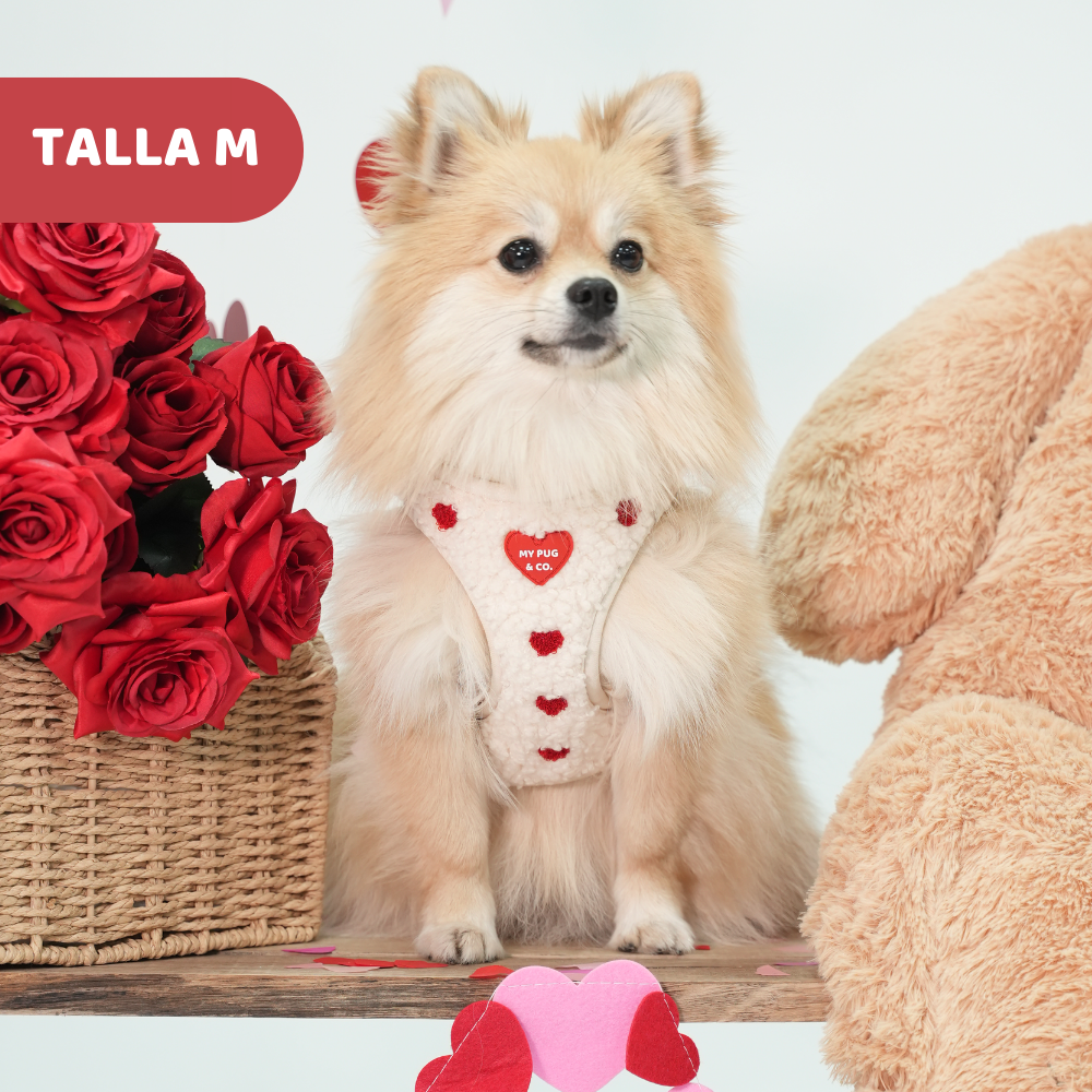 Arnés Body Corazón