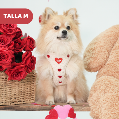 Arnés Body Corazón