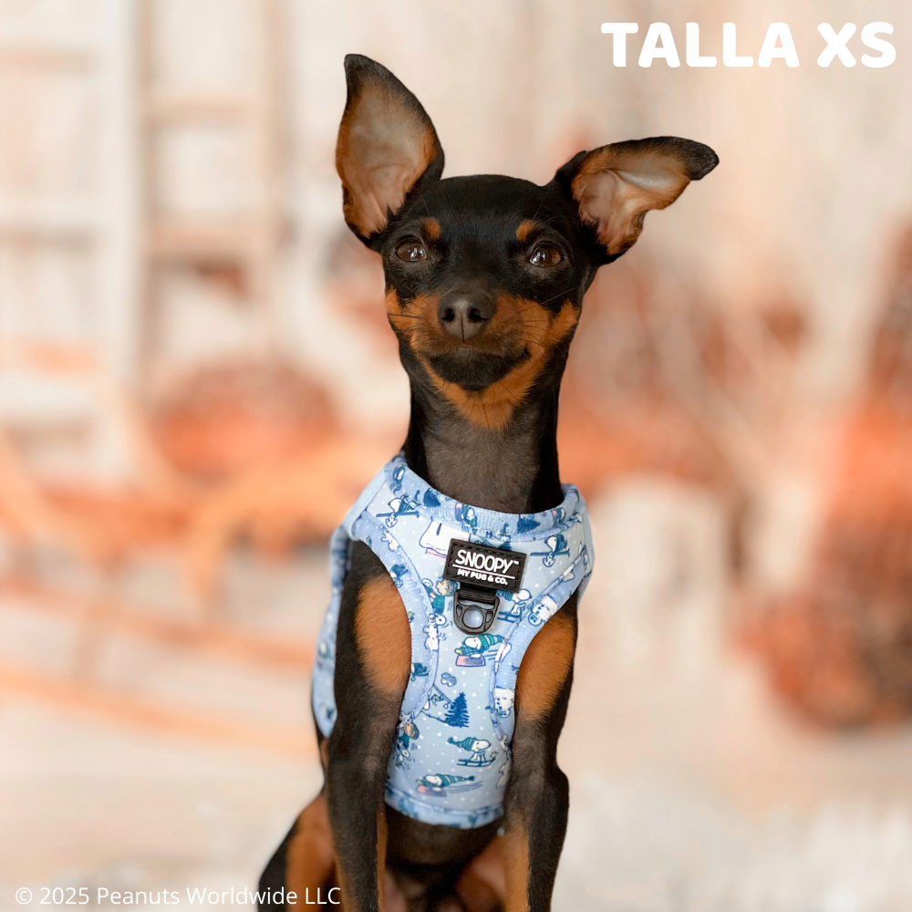 Arnés Body Snoopy™️ Snow