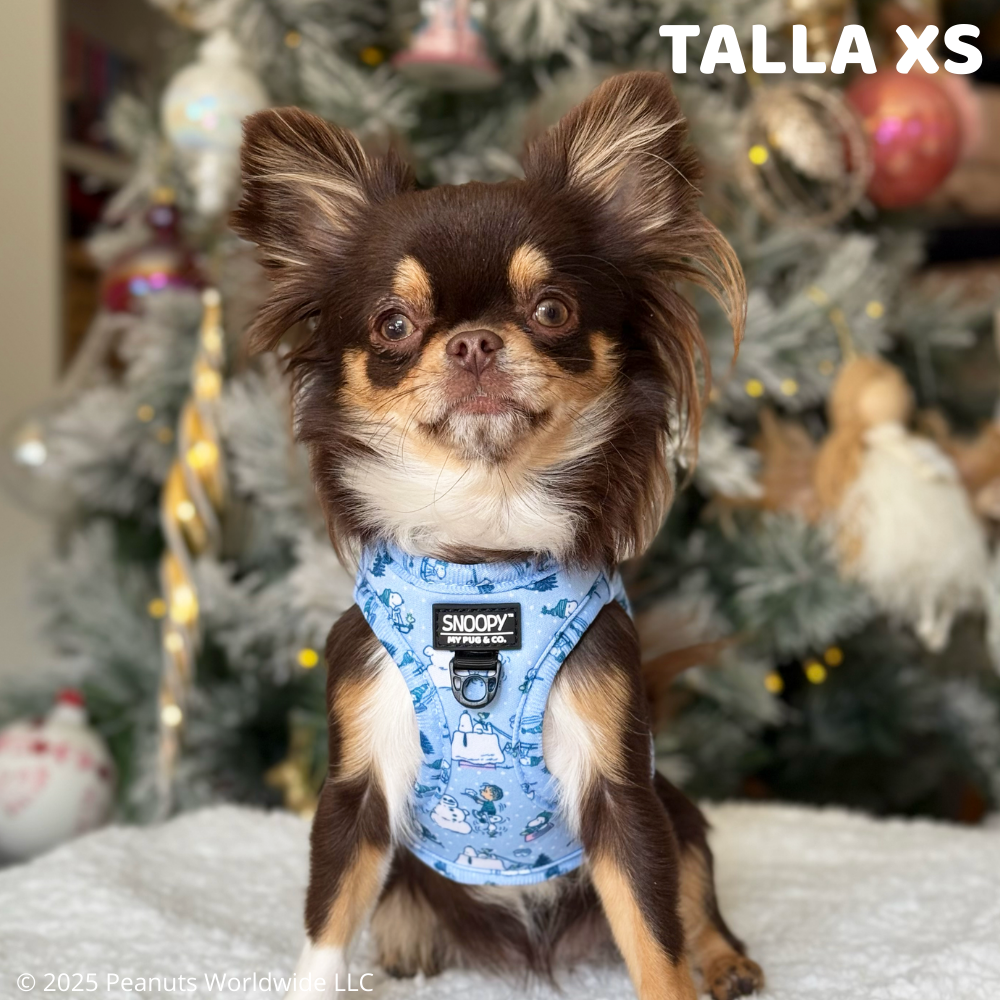 Arnés Body Snoopy™️ Snow