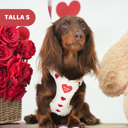 Arnés Body Corazón