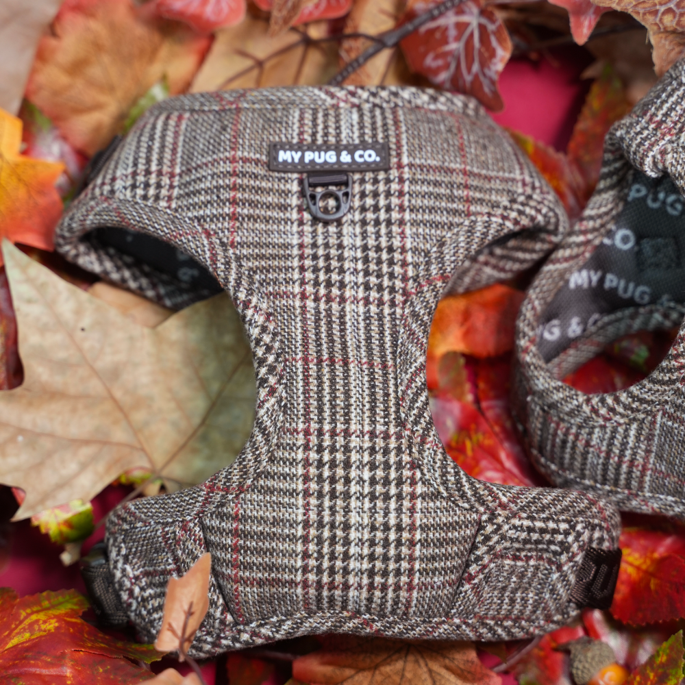 Arnés Ajustable Tartán