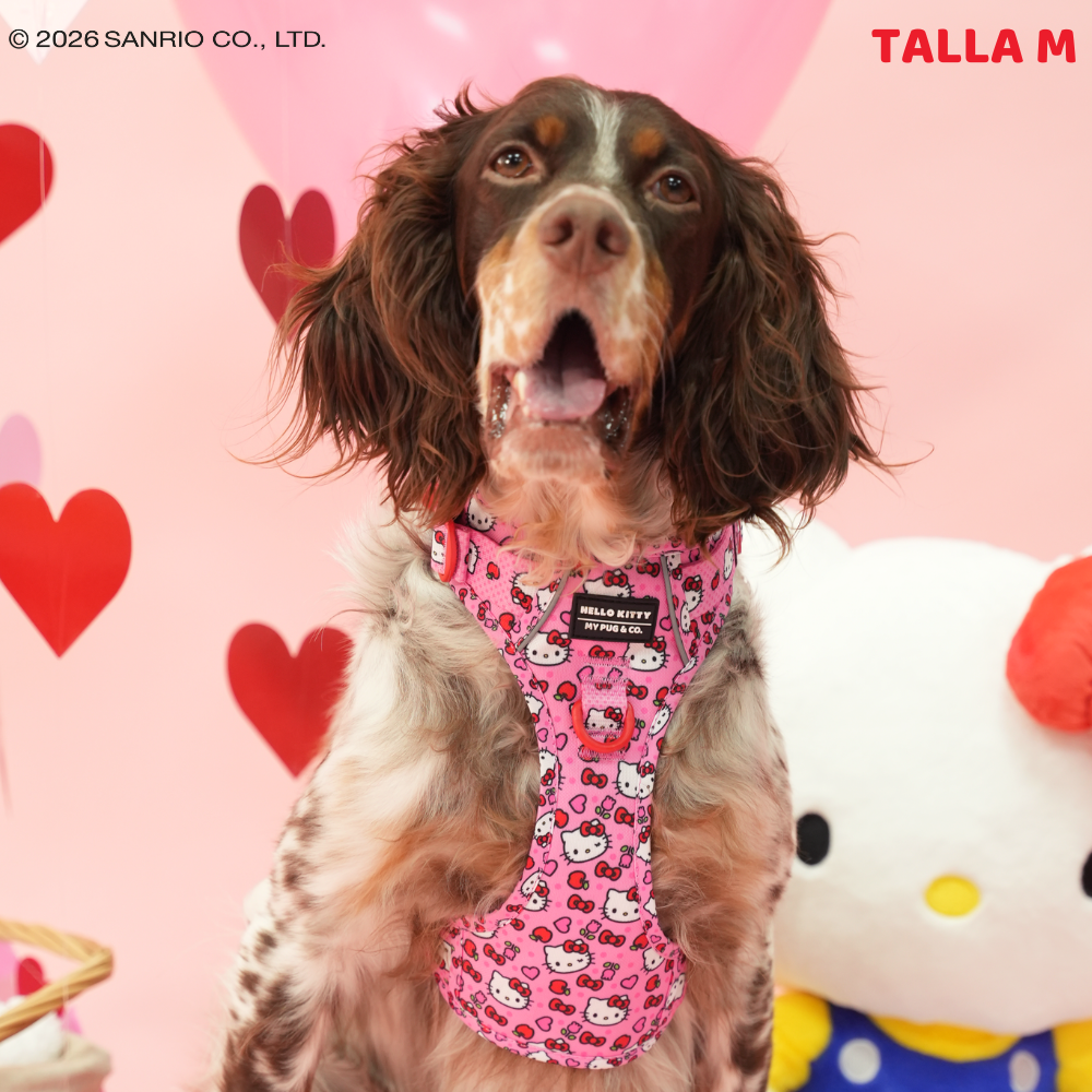 Arnés Todoterreno Hello Kitty Pink