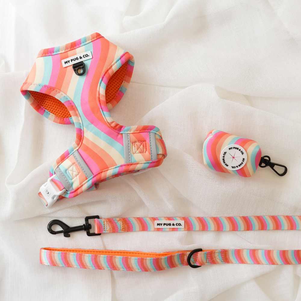 Pack Arnés Ajustable Lollipop