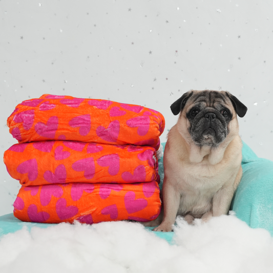 Hearts Blanket by Agatha Ruiz de la Prada