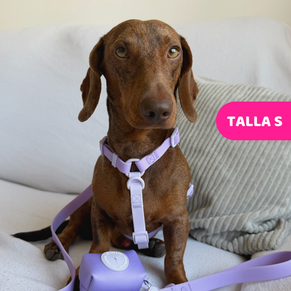 Arnés Ajustable Waterproof Lila