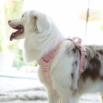  Pink Chic Trail Harness