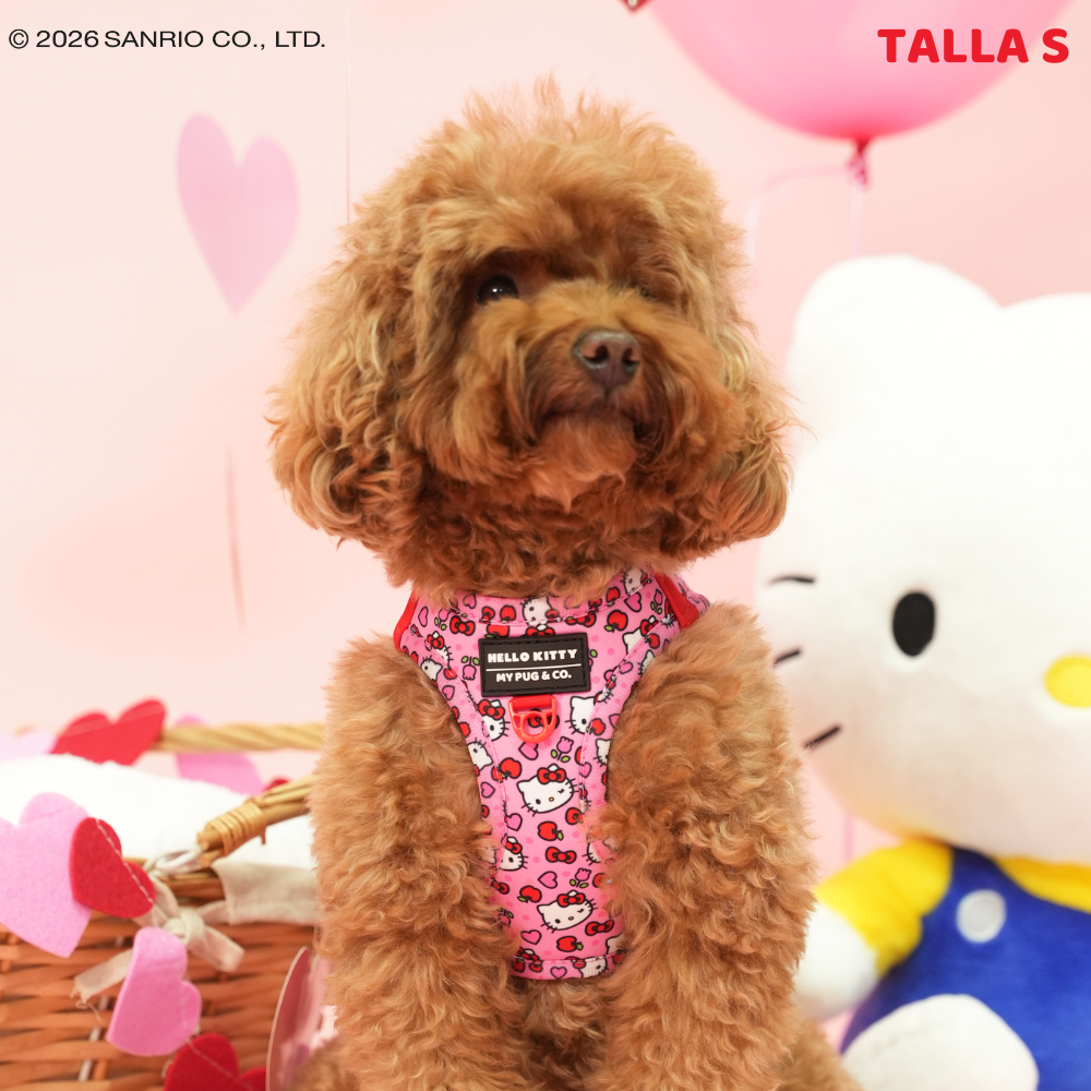 Arnés Body Hello Kitty Pink