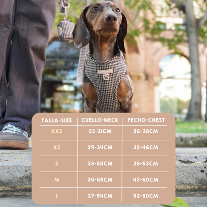 Arnés Ajustable Pata de gallo