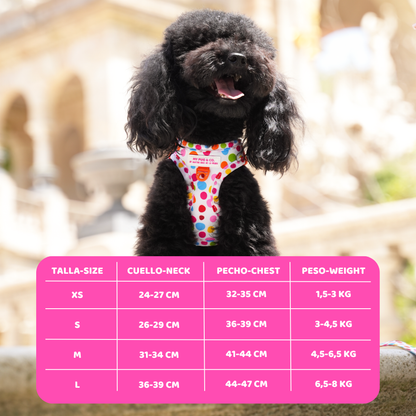 Step-in Hundegeschirr Punkteliebe von Agatha Ruiz de la Prada