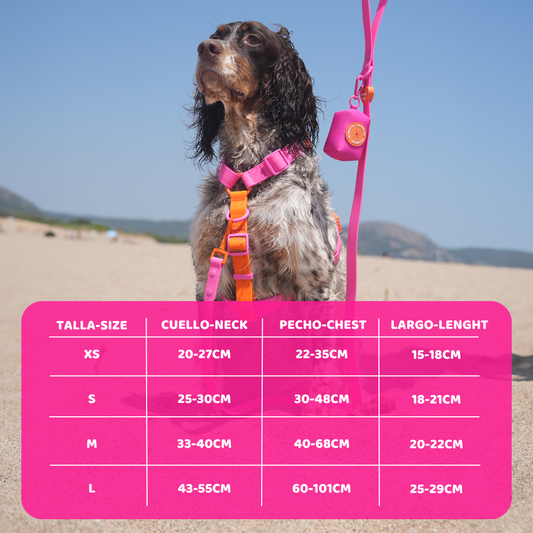 Adjustable Waterproof Harness (Orange-pink)