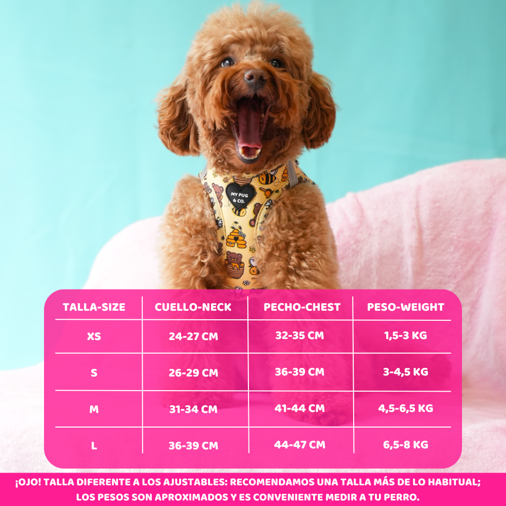 Honey Step In Harness