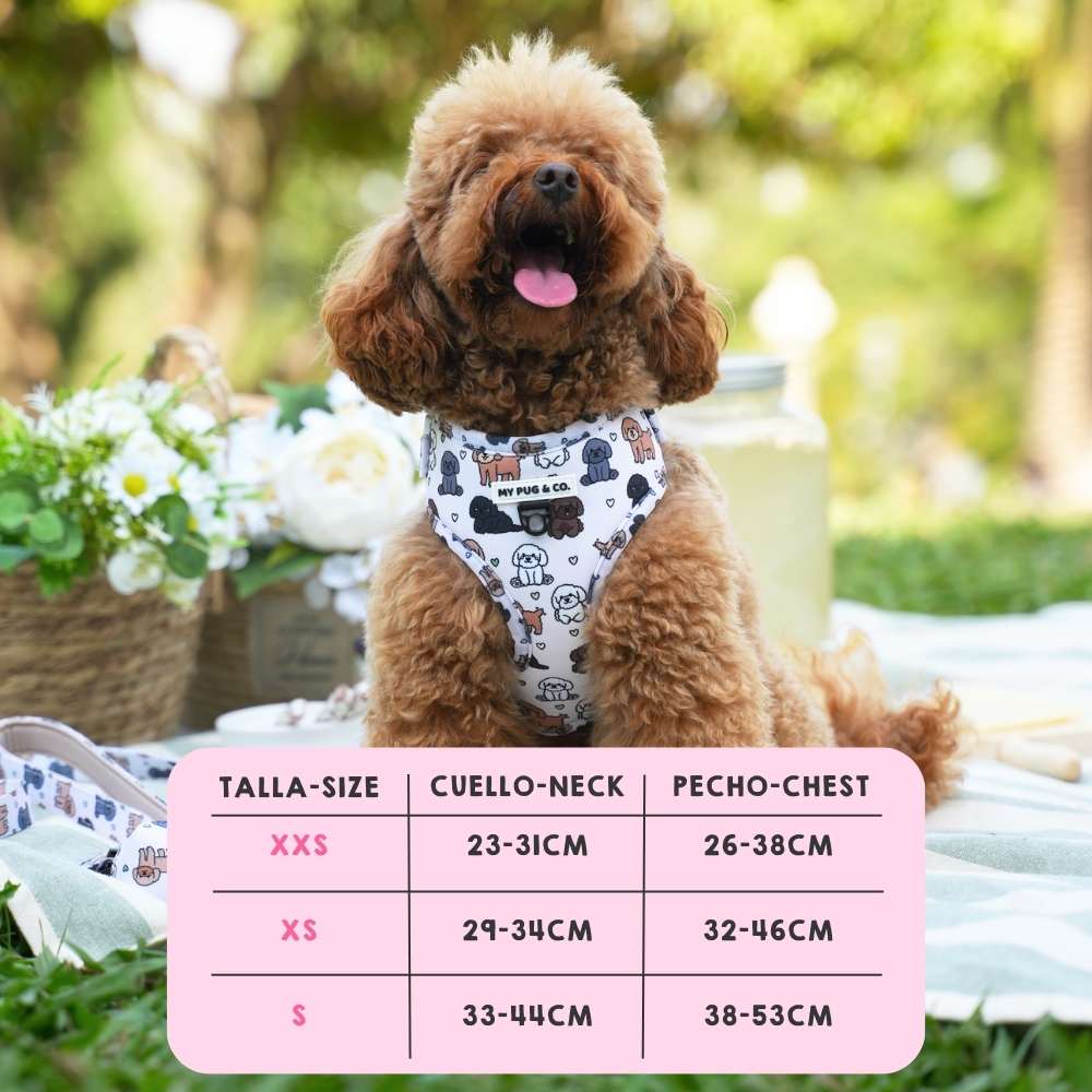 Arnés Ajustable Poodle