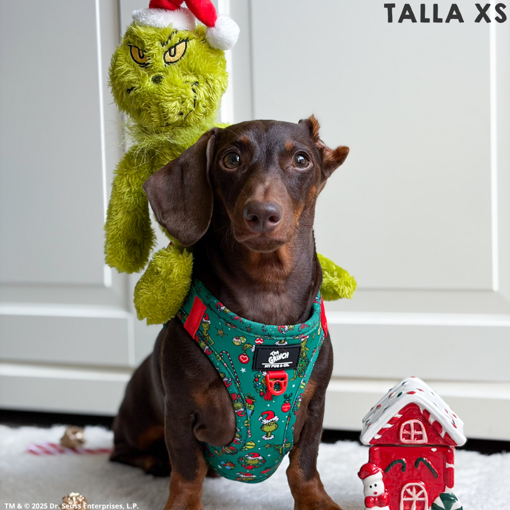 Arnés Body The Grinch Verde