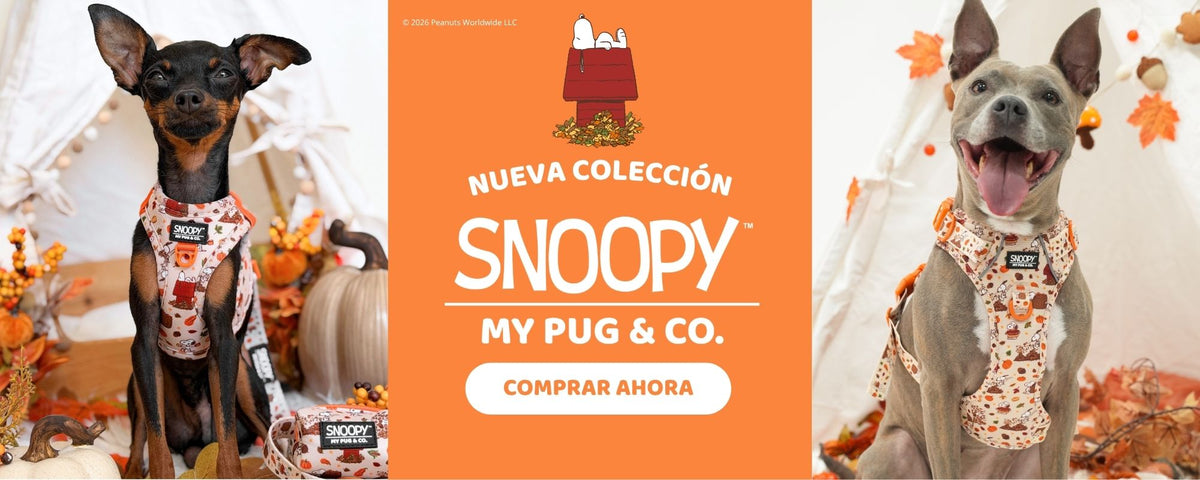 Nueva colección My Pug & Co by Agatha Ruiz de la Prada: dos perros con arneses de estrellas rosa y azul