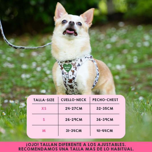 Chihuahua Body Harness