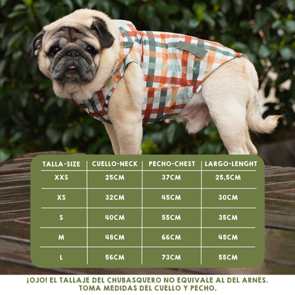 Chubasquero Autumn Picnic