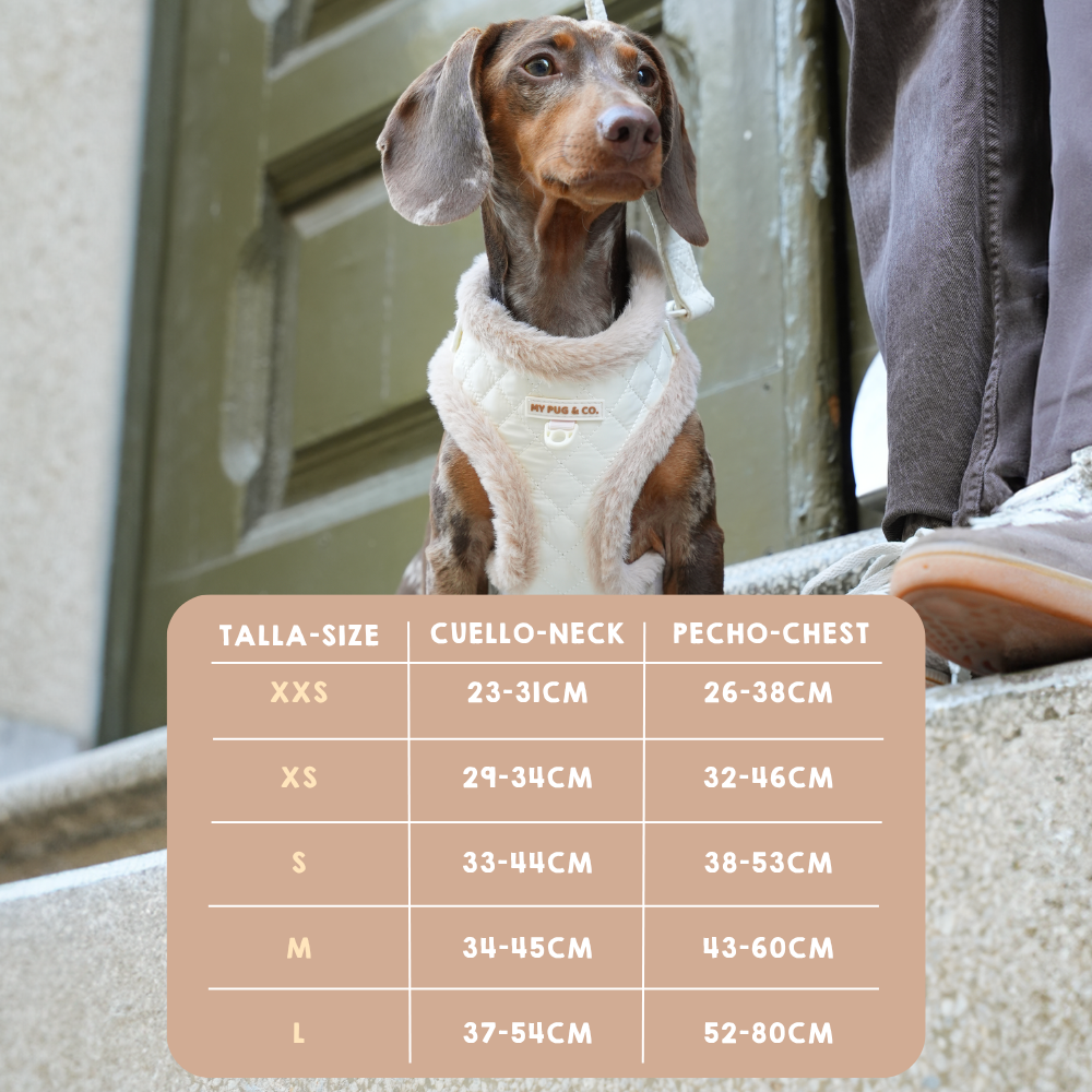 Arnés Ajustable Teddy Luxe