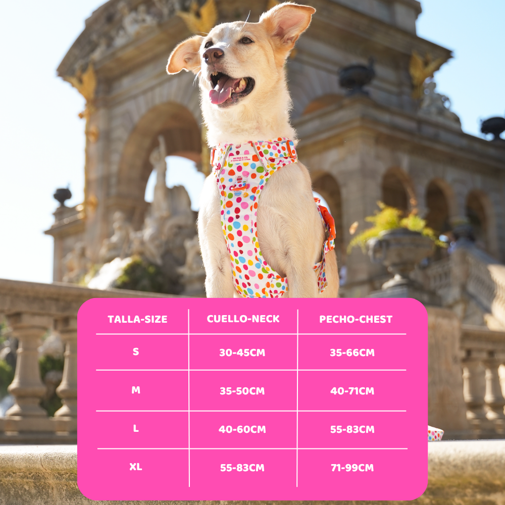 Trail-Hundegeschirr Punkteliebe von Agatha Ruiz de la Prada