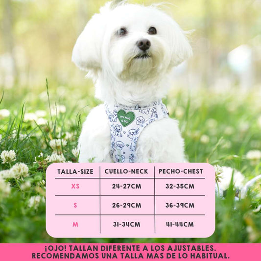 Maltese Body Harness
