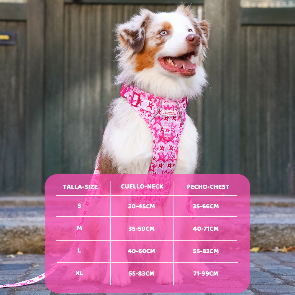 Trail-Hundegeschirr Farbenfrohe Blumen von Agatha Ruiz de la Prada