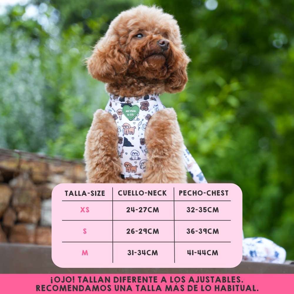 Pack Arnés Body Poodle