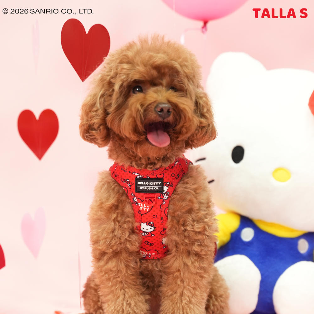 Arnés Body Hello Kitty Red