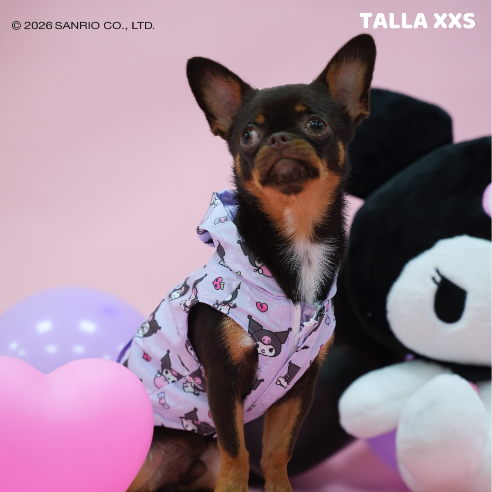 Kuromi Raincoat