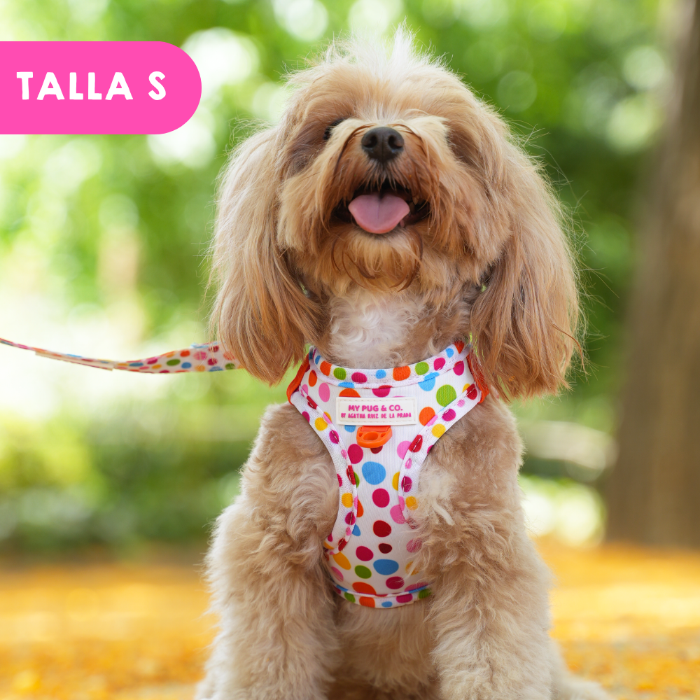 Step-in Hundegeschirr Punkteliebe von Agatha Ruiz de la Prada