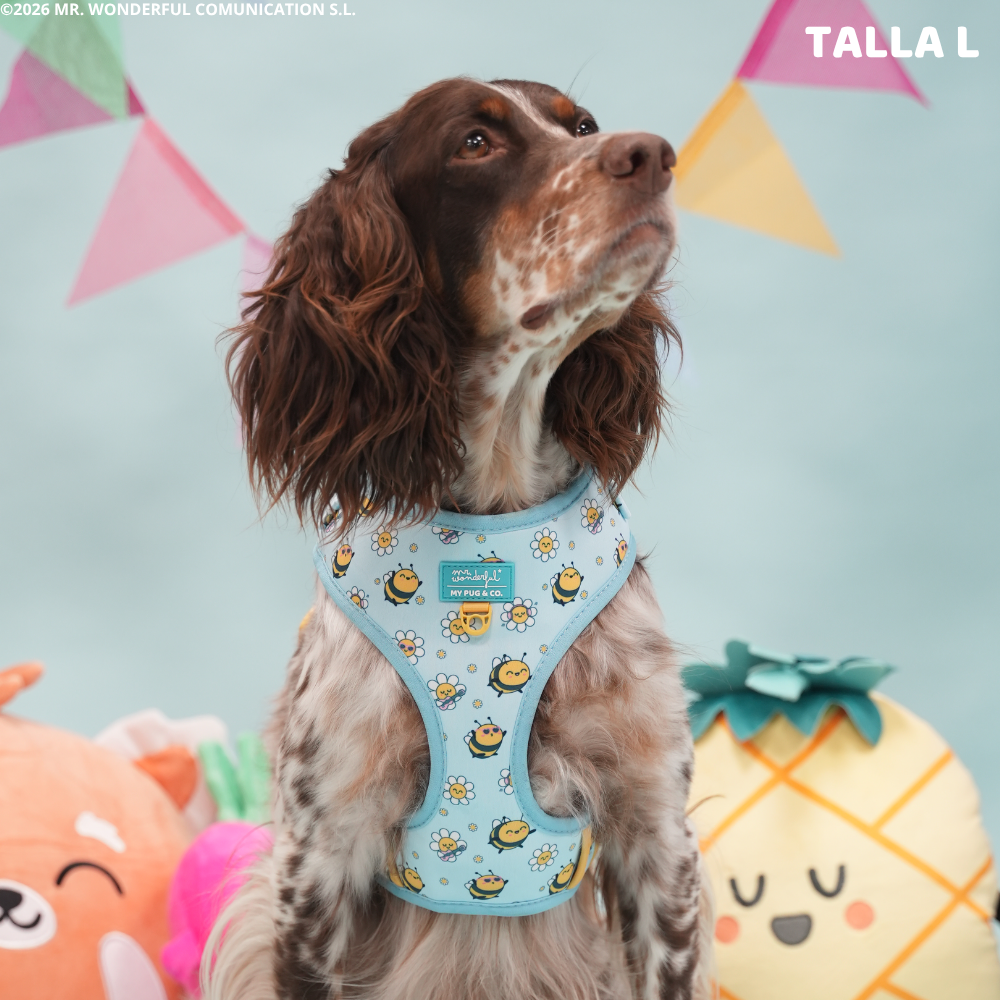 Bees Adjustable Harness By Mr. Wonderful Leash