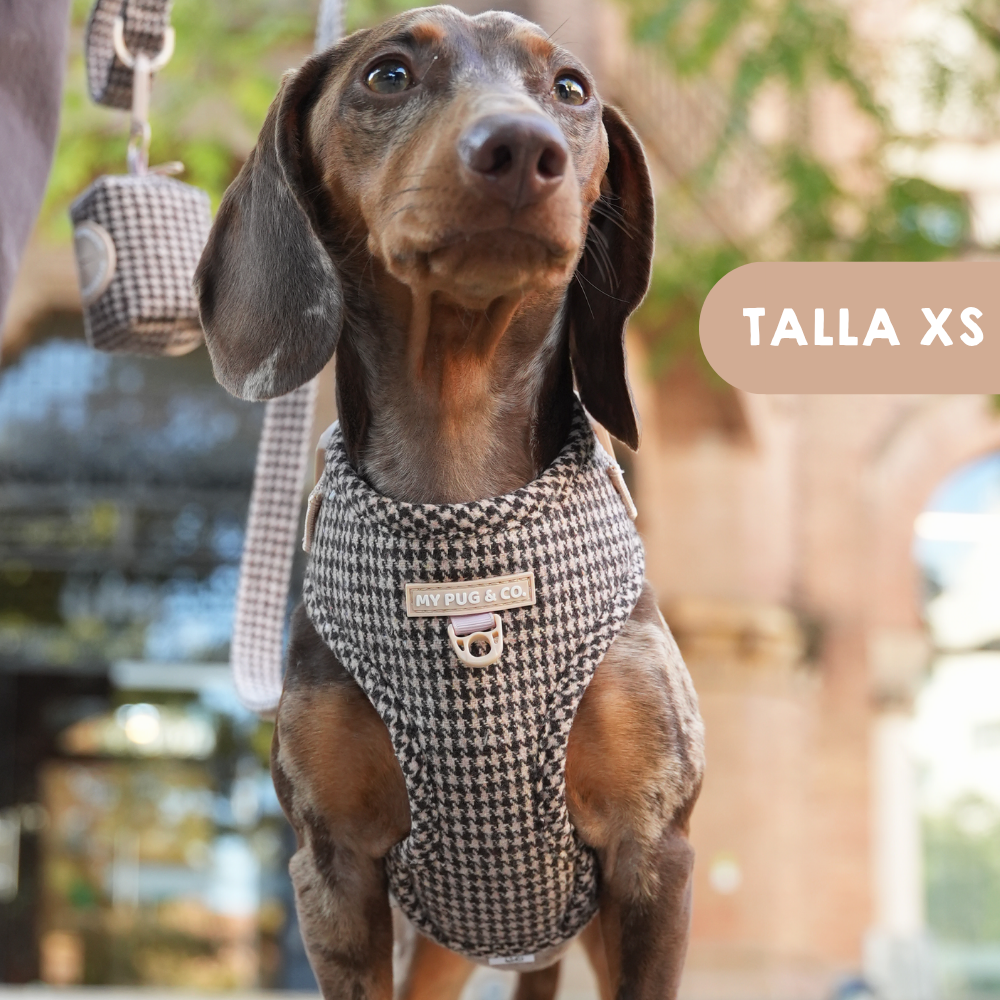 Arnés Ajustable Pata de gallo