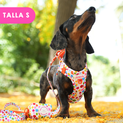 Step-in Hundegeschirr Punkteliebe von Agatha Ruiz de la Prada