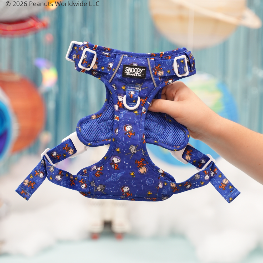 Space Trail Harness by Snoopy™️