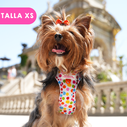 Step-in Hundegeschirr Punkteliebe von Agatha Ruiz de la Prada