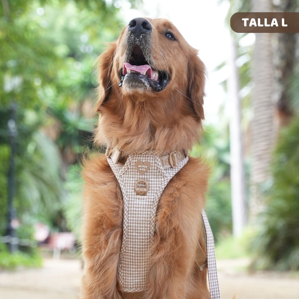 Arnés todoterreno Pata de gallo Caramel para perros de My Pug & Co