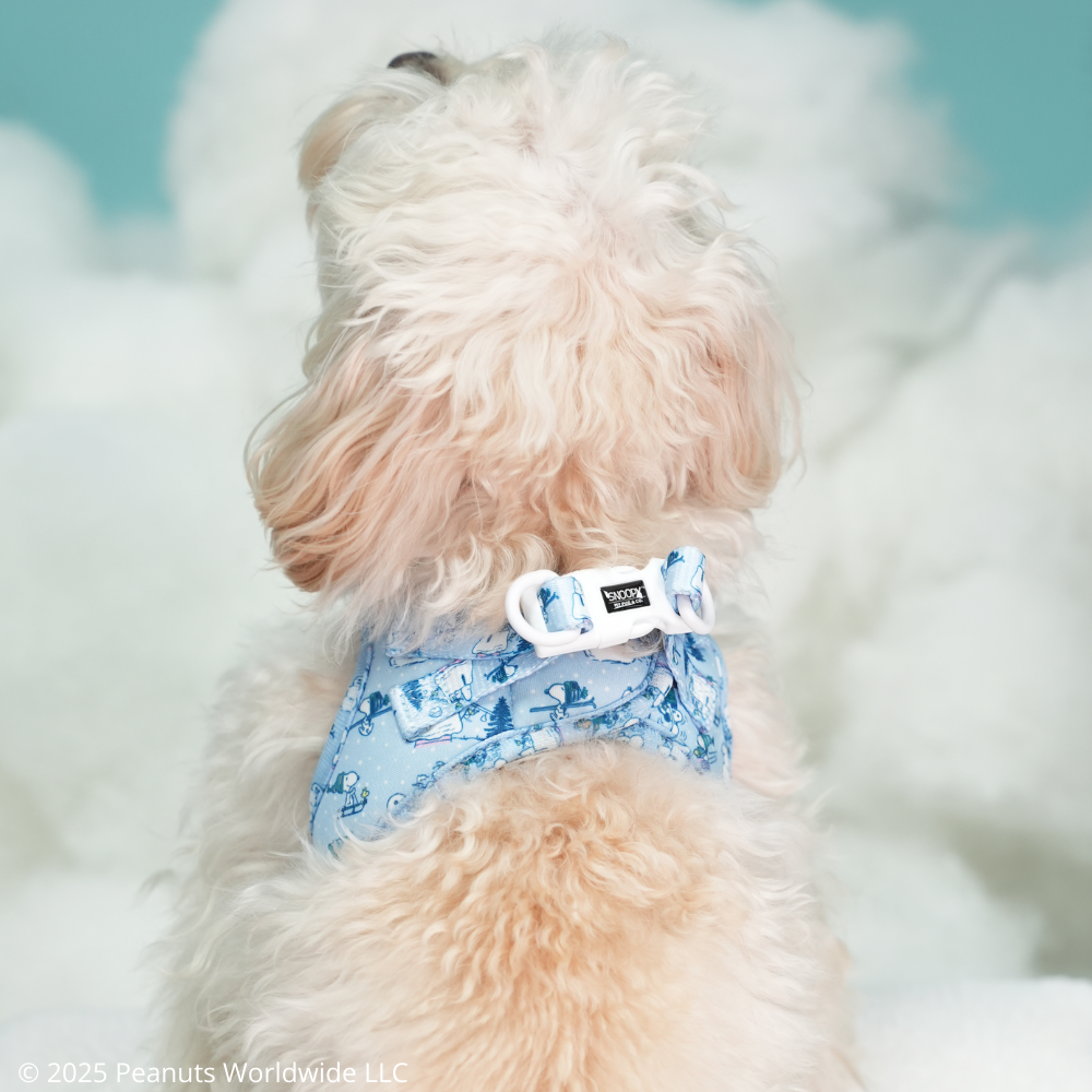 Arnés Body Snoopy™️ Snow