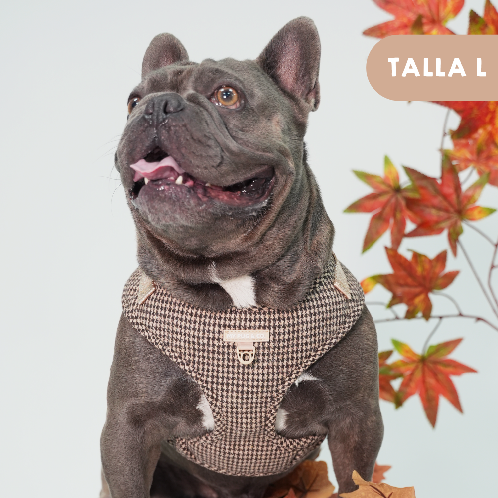 Arnés Ajustable Pata de gallo