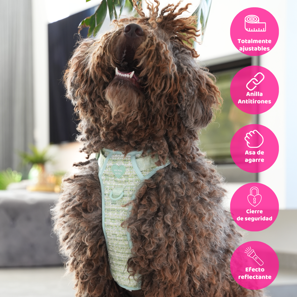  Mint Chic Trail Harness