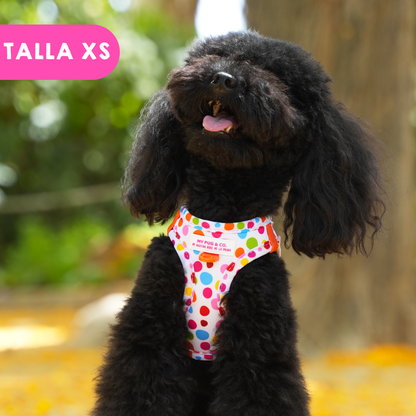 Step-in Hundegeschirr Punkteliebe von Agatha Ruiz de la Prada