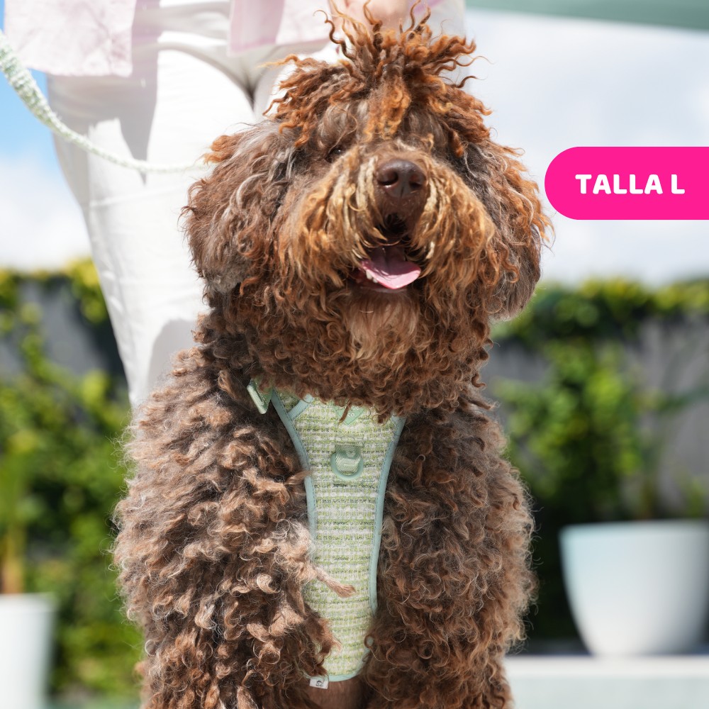  Mint Chic Trail Harness
