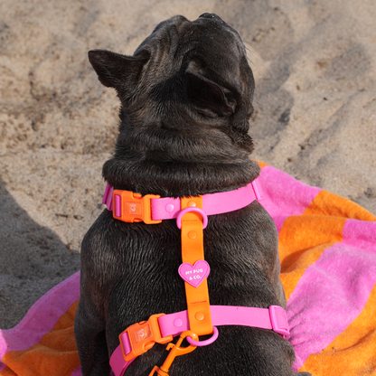 Verstellbares, wasserdichtes Geschirr, pink-orange