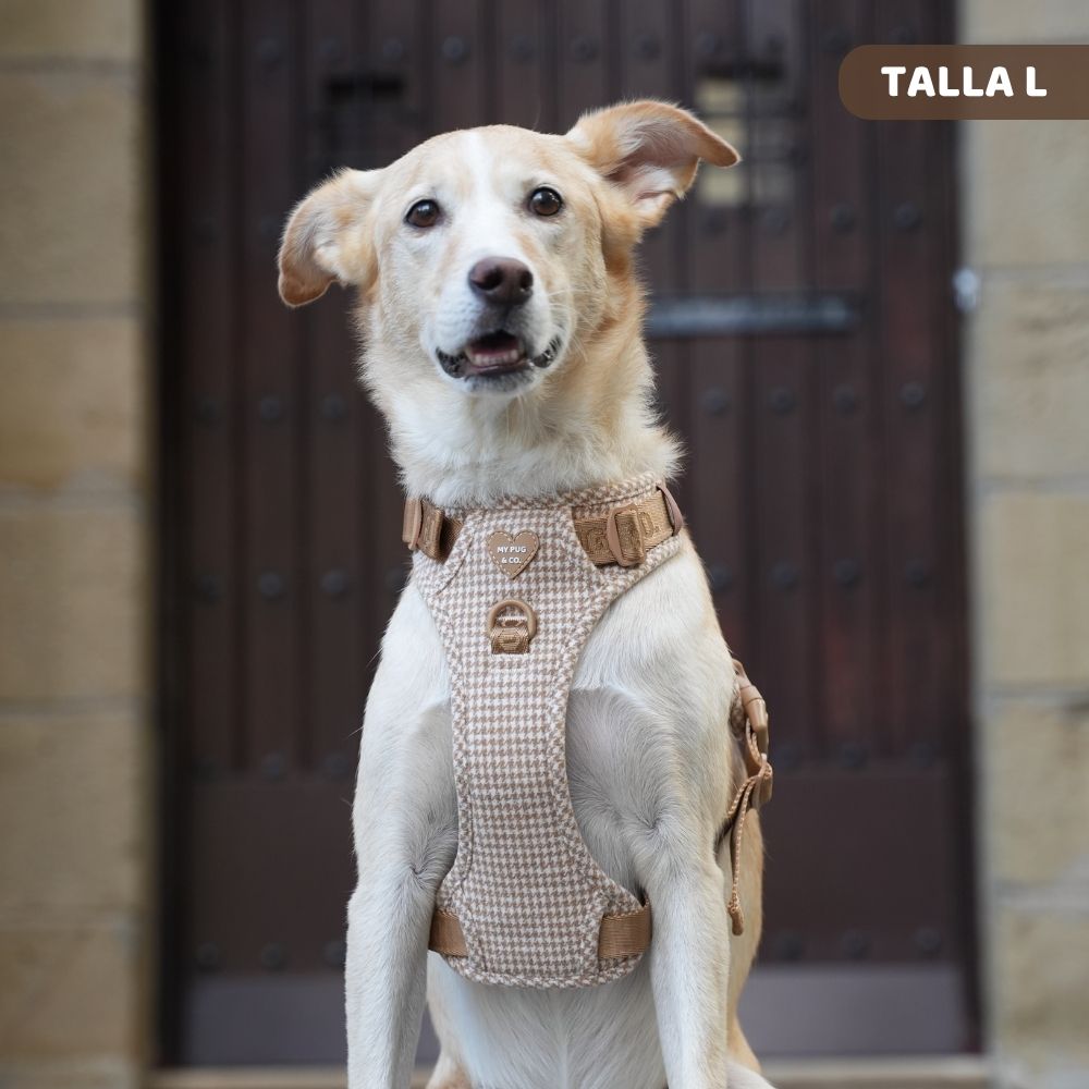 Arnés todoterreno Pata de gallo Caramel para perros de My Pug & Co