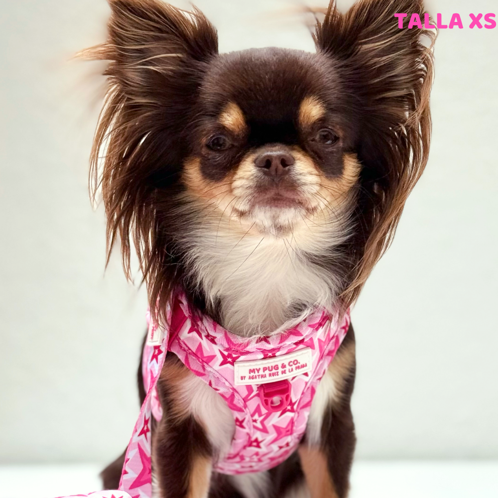 Step-in Hundegeschirr Farbenfrohe Blumen von Agatha Ruiz de la Prada
