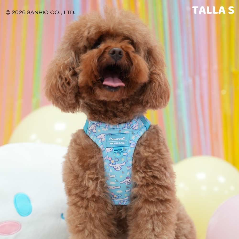 Step-in Hundegeschirr von Cinnamoroll