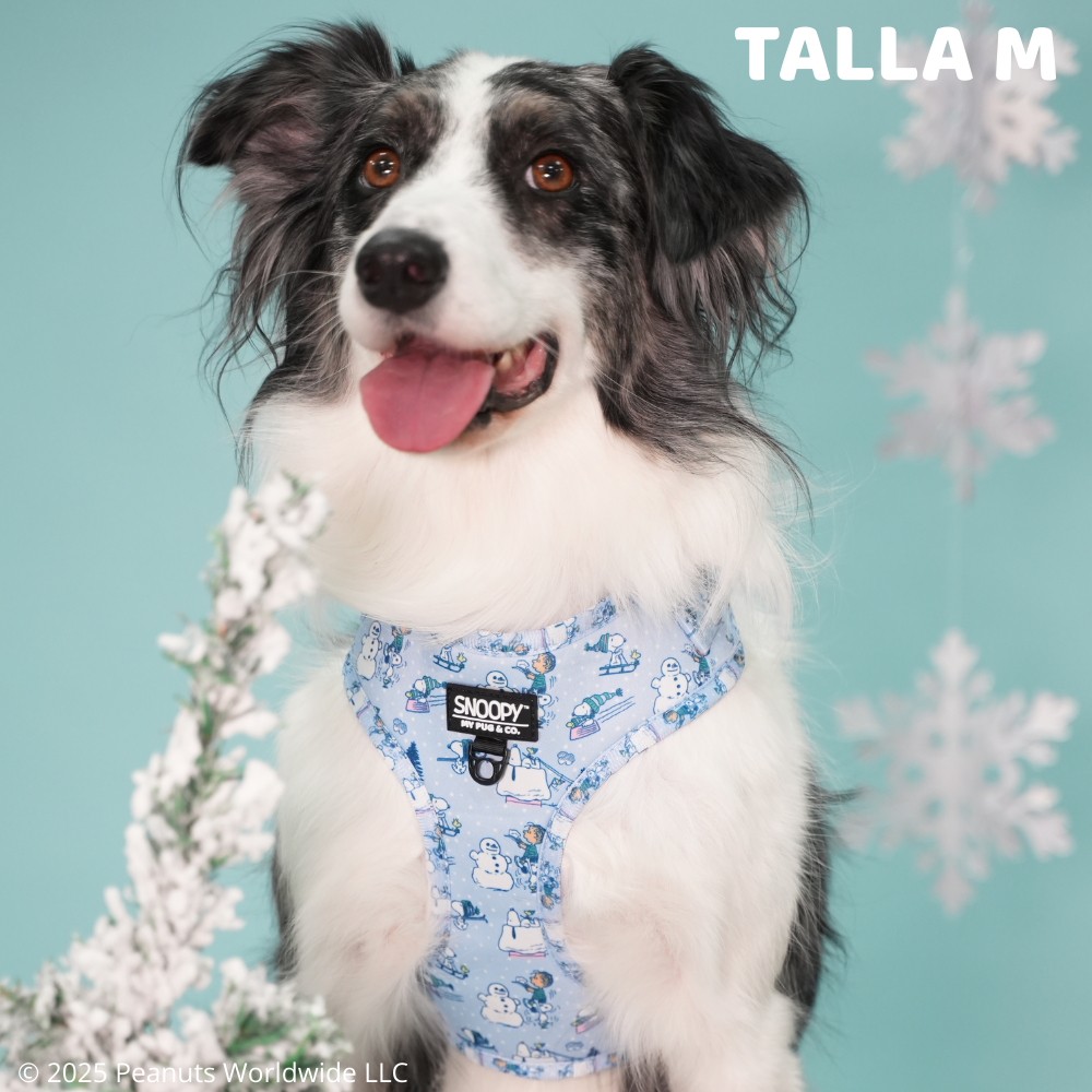 Arnés Ajustable Snoopy™️ Snow