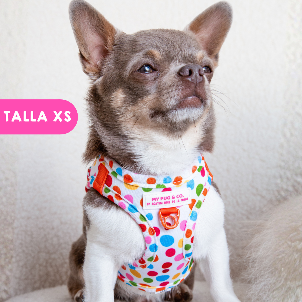 Step-in Hundegeschirr Punkteliebe von Agatha Ruiz de la Prada